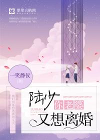 陆少你老婆又想离婚免费阅读