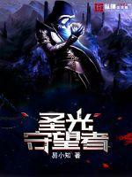 圣光守护者攻略
