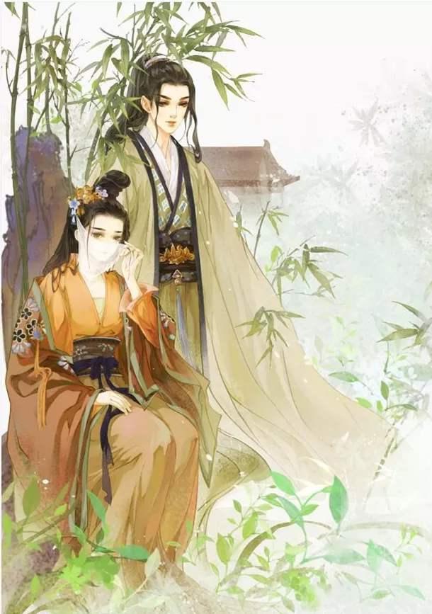 苏红珊韩夜霖完整版