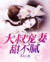 大叔宠妻甜不腻txt