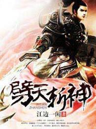 劈天斩神奇书网