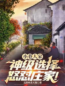 小巷人家怎么样