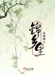 锦乡里 全文免费阅读