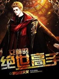 女神的绝世护卫