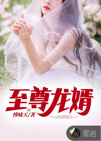 网络至尊龙婿