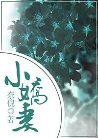 农门小娇妻