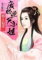 一世倾城(邪王追妻)完整版