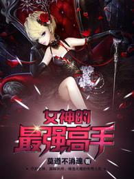 女神的最强高手txt全集