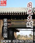 国之大贼精校版