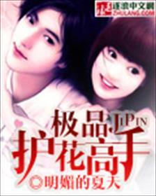 极品护花高手免费版