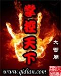 掌御天下 百度百科