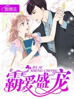 女主沈微男主陆夜丞名