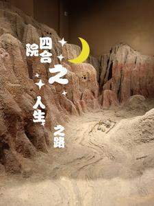 平凡的世界清穿日子
