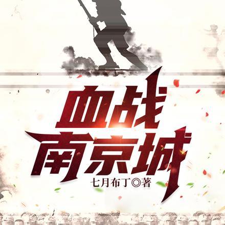 血战长空南京