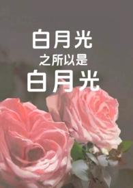 白月光是不是