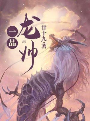 一品龙帅TXT