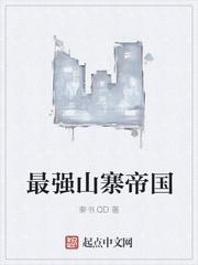 山寨帝国