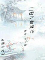 三国志曹操传武将装备搭配